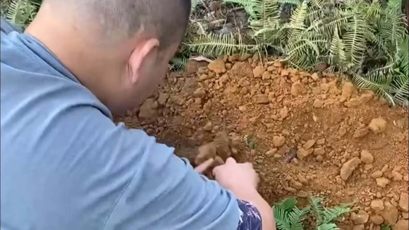師傅於龍穴吉地種生基